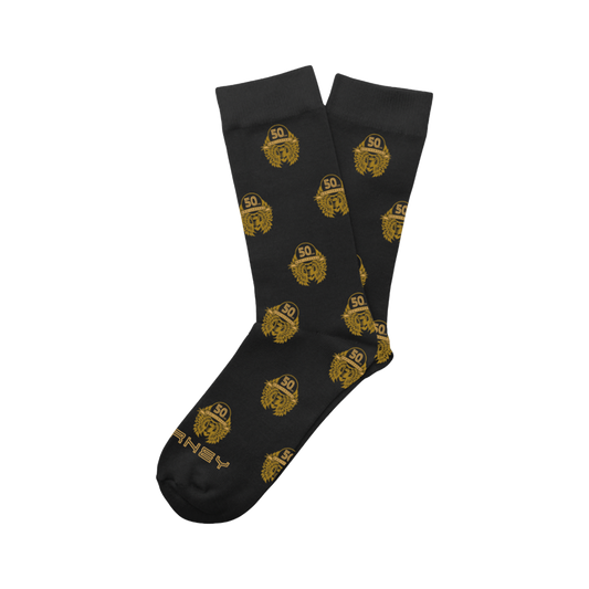 50th Anniversary Socks - Journey Music